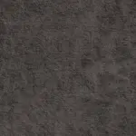 Northwest Elk
