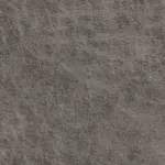 Northwest Paloma Grey